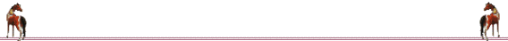 brdrbr1.gif - 3.05 K