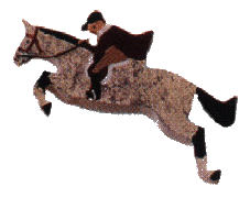 engjpr.gif - 15.48 K