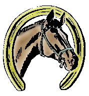 hdshoe.gif - 12.41 K