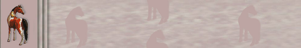 brdbk1.jpg - 19.84 K