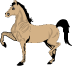 horse8.gif - 2.38 K